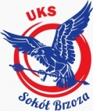 Sokół Brzoza